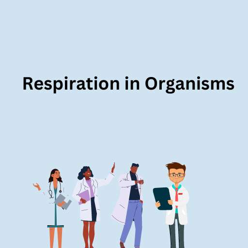 Respiration in Organisms